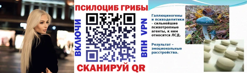 Псилоцибиновые грибы MAGIC MUSHROOMS  купить закладку  Короча 